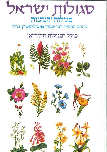 סגולות ישראל - סגולות והנהגות