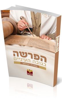 הפרשה בגובה העיניים - סדרת יהדותון