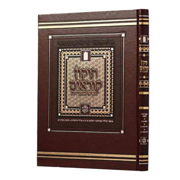 תיקון קוראים - איש מצליח 